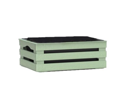 152388 2 bama truhlik tina flower 1 zelena