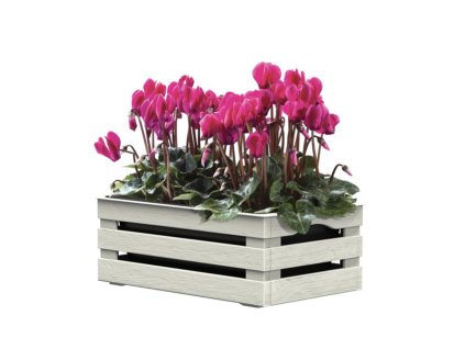 152961 2 bama truhlik tina flower 1 bila