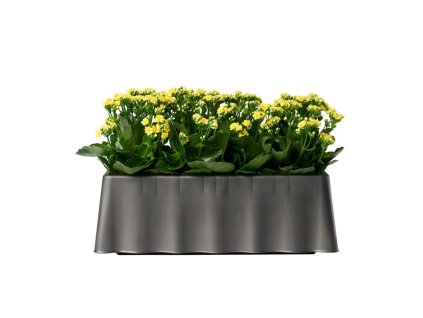 156489 brezza antracit