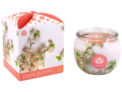 Cherry Blossom (Množství 1 ks)