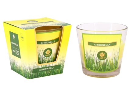 Citronella (Množství 12 ks)