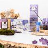 145808 6 lavender chamomile