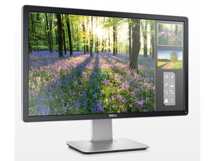 Dell Professional P2414H