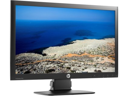 HP ProDisplay P221