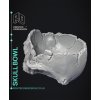 Skull%20bowl%204
