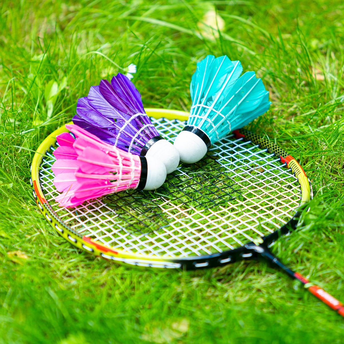 NRZ204 BADMINTONOVÝ SET NILS