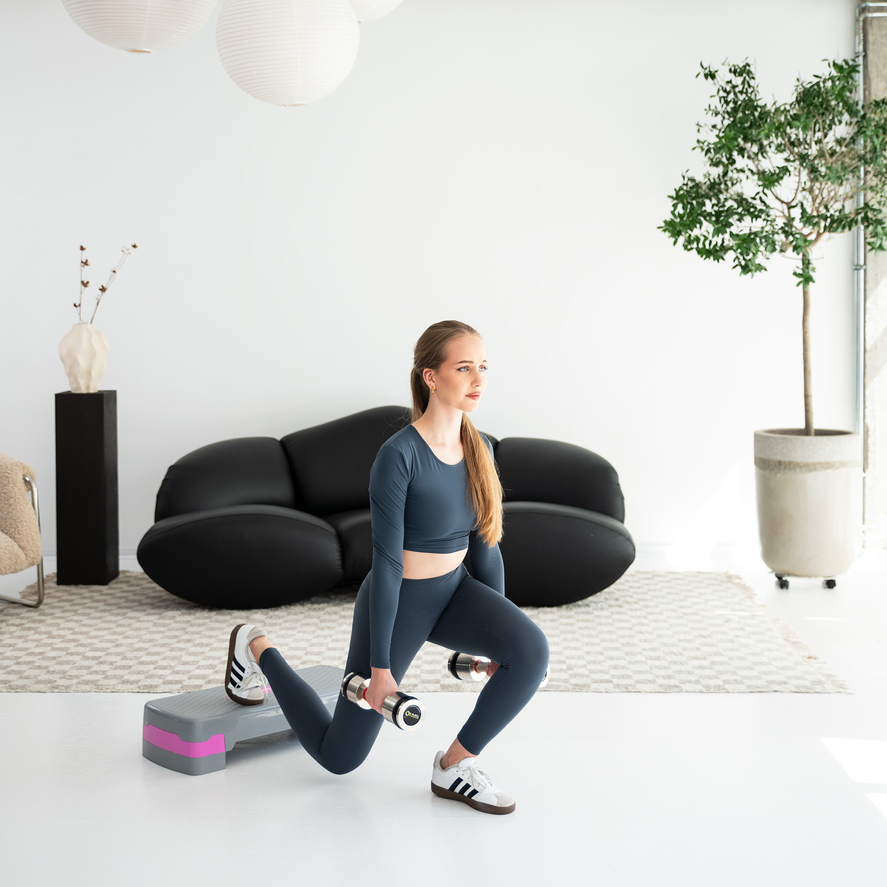 AS003 ŠEDÝ/RŮŽOVÝ STEP NA AEROBIC HMS