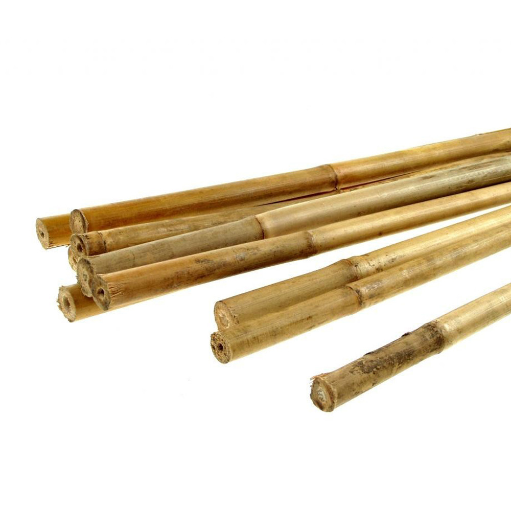 Bamboo Tyč malá průměr 1 - 1,5 cm, délka 50 cm