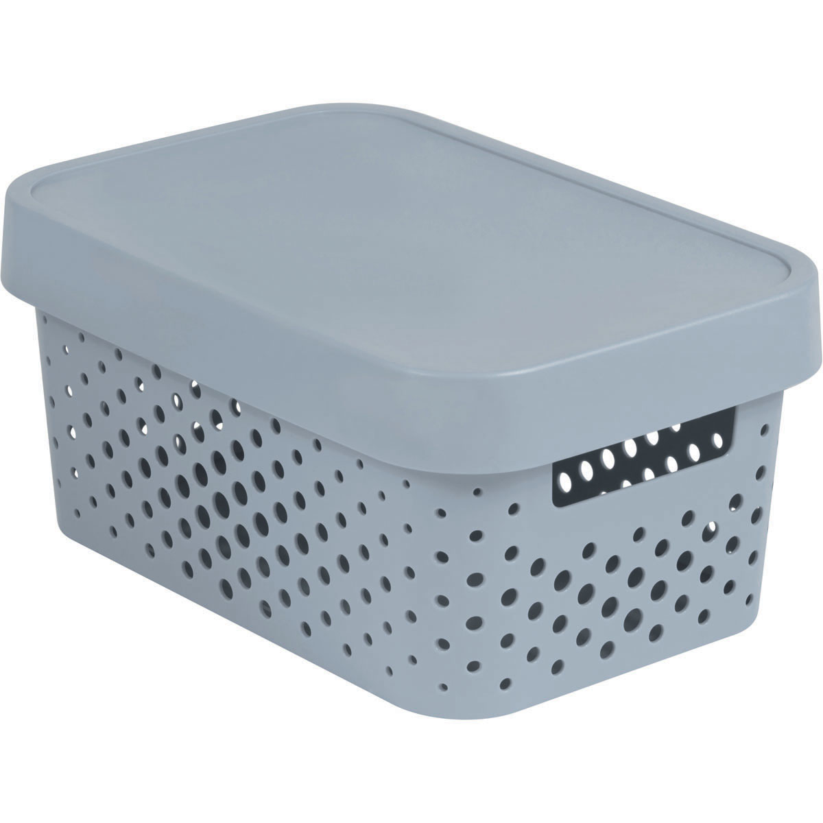 Curver Úložný box INFINITY S 4,5l
