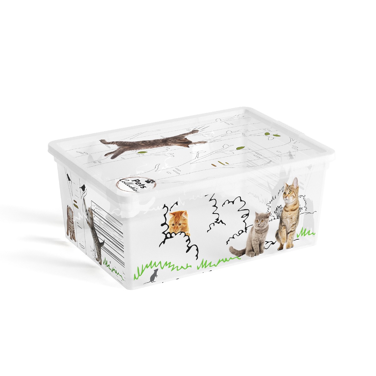KIS C BOX 84080005098 Box 11 L, Style, Pets Collection