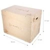 DSC01 PLYO BOX HMS