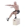 DSC04 PLYO BOX HMS