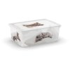 C Box Puppy & Kitten S, 11 L  KIS