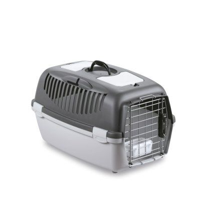 b9a5d841fd D21 97331