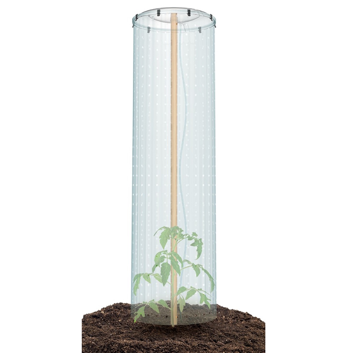 PROSPERPLAST Pestovateľská súprava (fóliovník) pre TOMATO GROWER CAP 38,5 cm