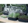 Sadbovač RESPANA TABLE GREENHOUSE antracit 51,5 cm