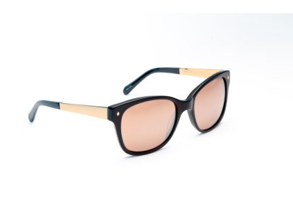 1874 2 1874 fossil fos2012s807