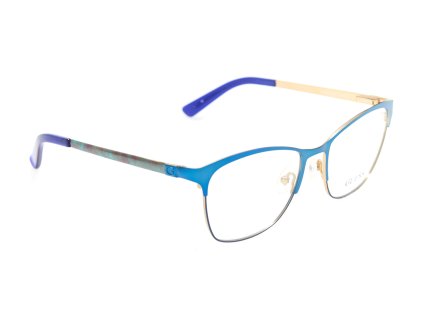 20900 guess gu2498091