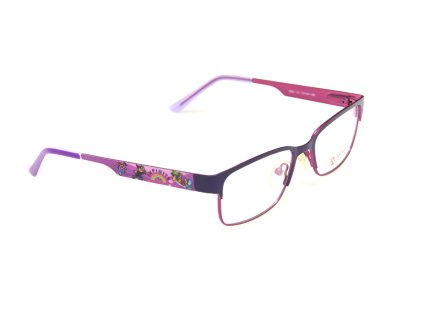 22513 2 infinity ic244c2