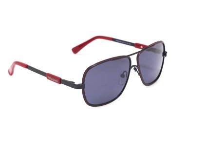 24790 polarized p800036c2