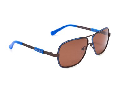 24793 polarized p800036c3