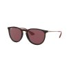 17549 3 17549 3 ray ban rb4171 639175