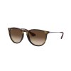 17561 3 17561 3 ray ban rb4171 865 13