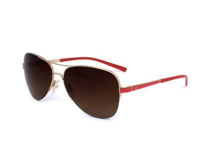 Ana Hickmann AH310504C