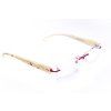 Dr. Eyes DR039C2