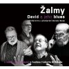 Žalmy - David a jeho blues (audiokniha)