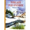 Poklady pod sněhem