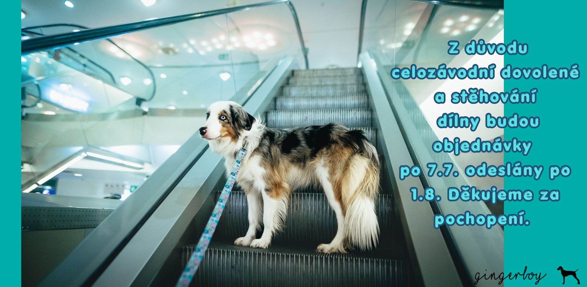 dovolená