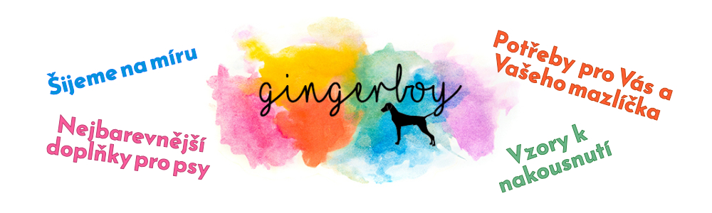 Gingerboy