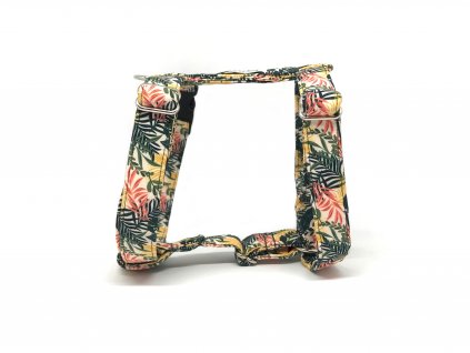 Postroj pro psa JASPER