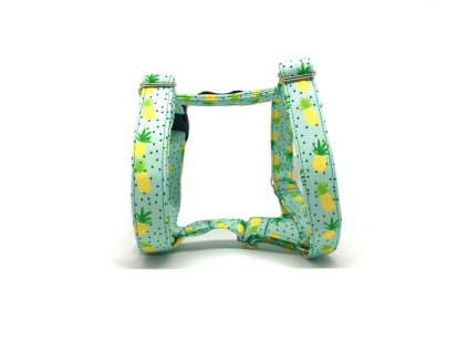 Postroj pro psa PINEAPPLE