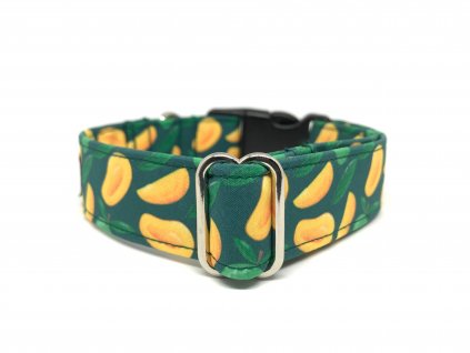 Obojek pro psa Mango 2