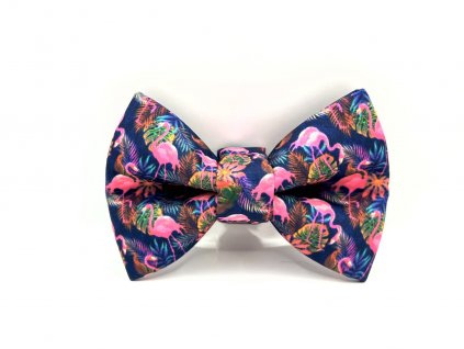 Plameňáci tmavý motýlek