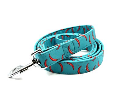 Chilli na modré vodítko