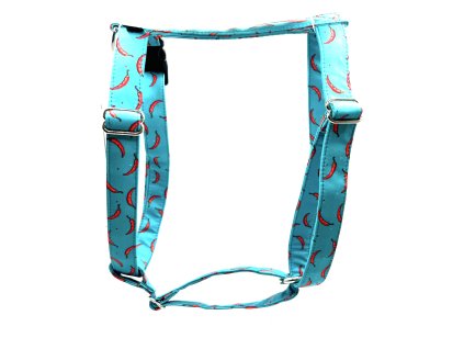 Chilli na modré kšíry