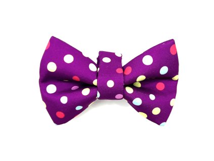 Pompoms purple motýlek