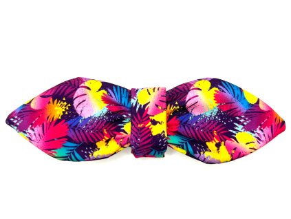 Duhový les mašle na obojek