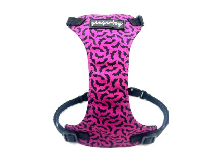 Postroj pro kočky Netopýr