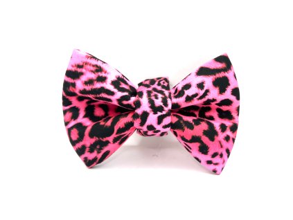 Leopard pink motýlek