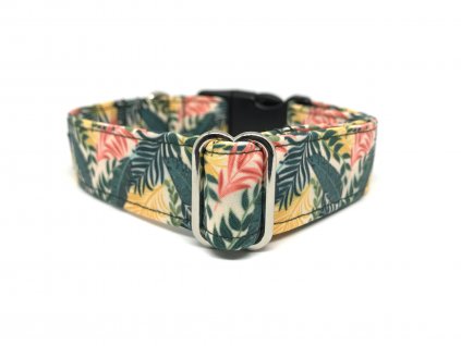 Obojek pro psa Jasper