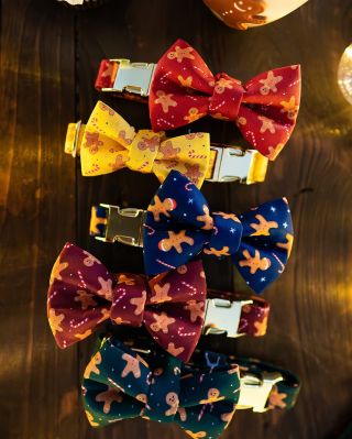 🎄✨ POSLEDNÍ ŠANCE TENTO TÝDEN! ✨🎄 Chcete mít vánoční obojky s motýlky pod stromečkem? 🎁🐾 🕒 Objednávky s garancí doručení...