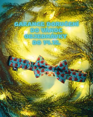 I naše síly mají své limity ✂️✨ Pokud chcete mít dárek pod stromečkem jistý, garantujeme doručení u objednávek vytvořených...