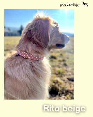 ☀️ Konečně slunce. A na krku Sisi obojek Rita Beige 🤍 Jemná srdíčka na béžovém podkladu. A pokud jste si tenhle vzor...