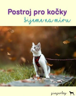 ✨ Postroje pro kočky šité na míru ✨ Šijeme postroje a vodítka přesně podle vašeho chlupáče 🐱 Žádné univerzální velikosti –...