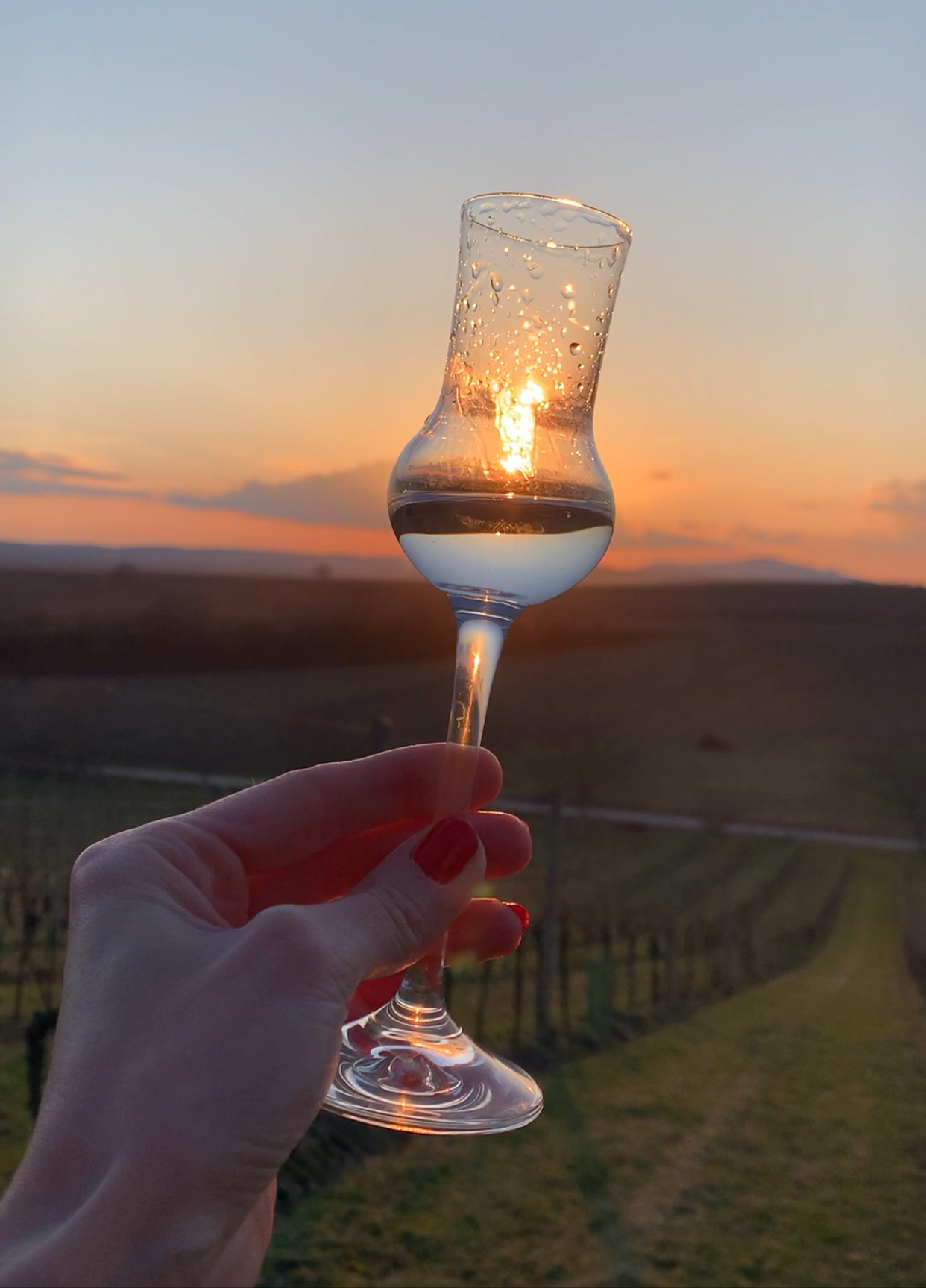 Ubytování ve vinném sklípku ve vinařské oblasti Velkých Bílovic pro dvě osoby
