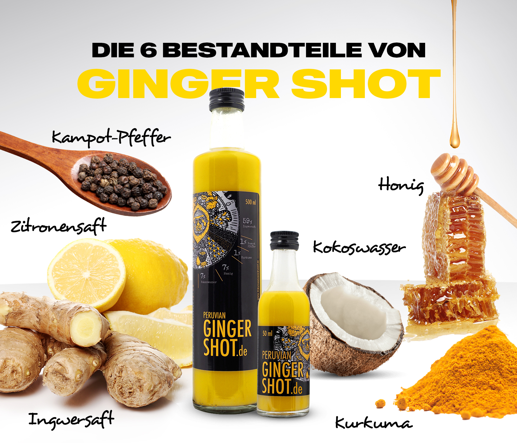 Ginger Shot - die 6 bestandteile von ginger shot